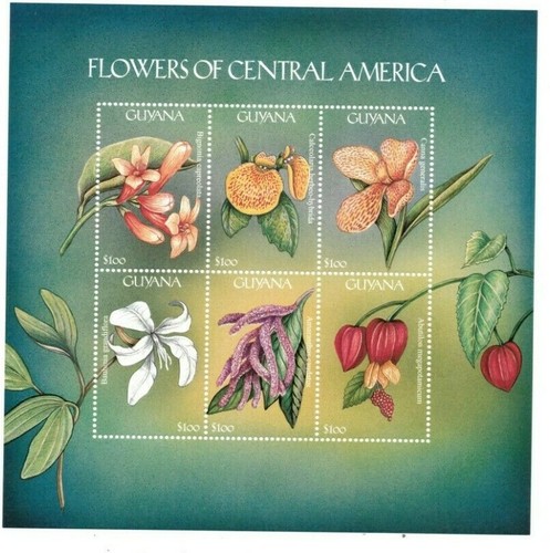 Guyana 2000 fiori - guyana,