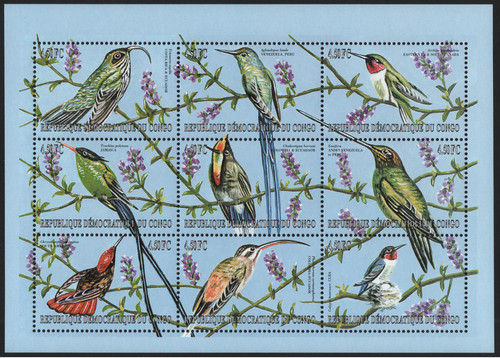 Foglietto colibrì america - foglietto,